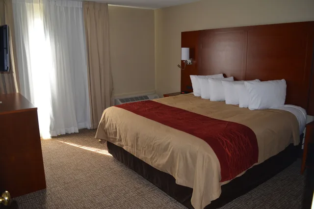 Studio, Suite, King Bed, Comfort Inn Savannah Midtown 1/4