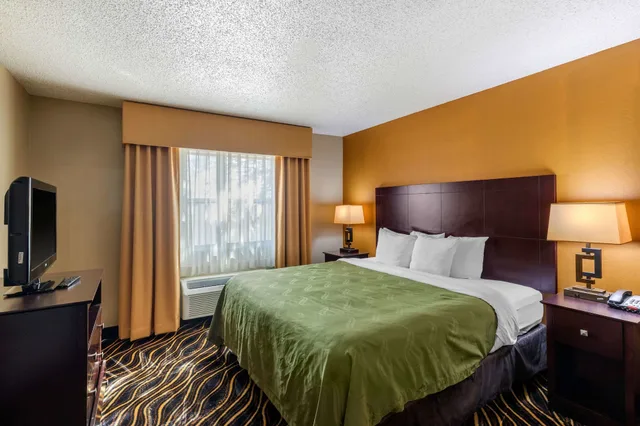 جناح بسرير كينج بغرفة نوم واحدة مع أريكة، Quality Suites Addison-Dallas 2/4
