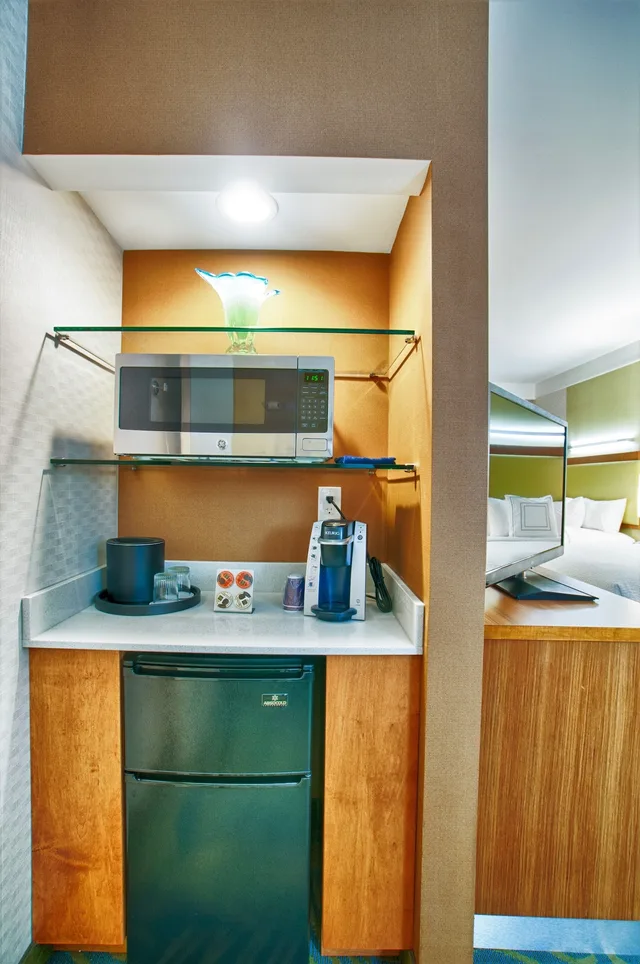 Suite, Multiple Beds، SPRINGHILL SUITES CANTON 3/4