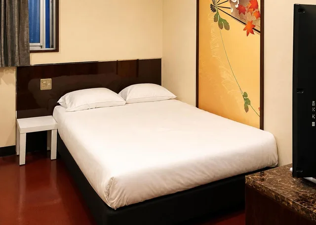 غرفة بسرير مزدوج، Arashi Hotel Namba 7/10