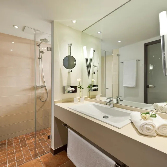 غرفة سوبيريور مفردة، Ringhotel Am Stadtpark 4/6