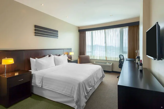 غرفة بسرير كينج لذوي الإعاقة، Wyndham Garden Guayaquil 3/10