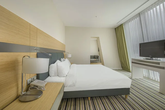جناح جونيور بسرير كينج، RADISSON BLU HOTEL, BATUMI 5/6