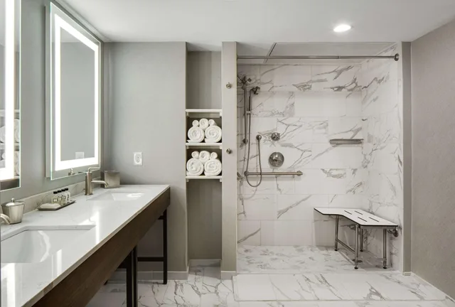 جناح بسرير كينج لذوي الإعاقة، The Sire Hotel Lexington Tapestry Collection By Hilton 3/3