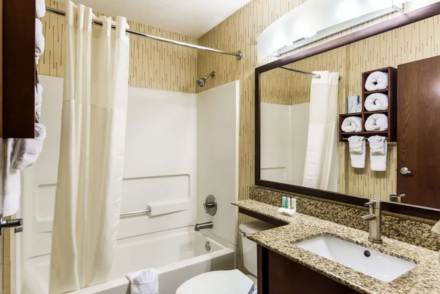 جناح بسرير كينج، Quality Inn Chester - South Richmond 3/3
