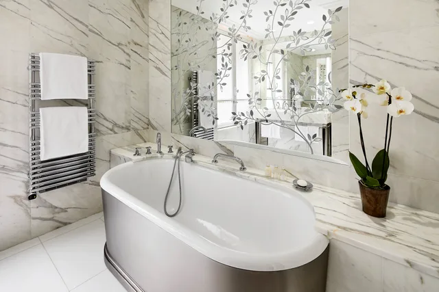 جناح جونيور بسرير مزدوج، Hotel Plaza Athenee 1/1