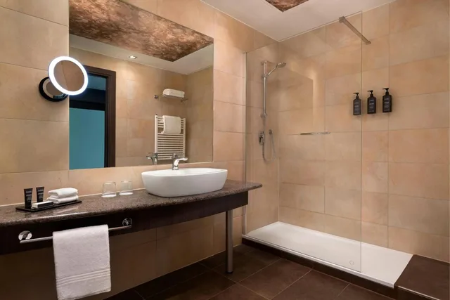 غرفة ديلوكس بسريرين منفصلين، Sheraton Milan Malpensa Airport Hotel & Conference Centre 5/5
