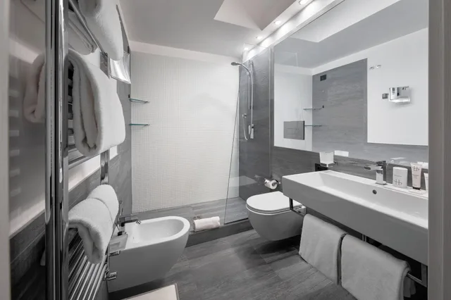 غرفة سوبيريور بسرير مزدوج أو سريرين منفصلين، LHP Hotel River and Spa 4/4
