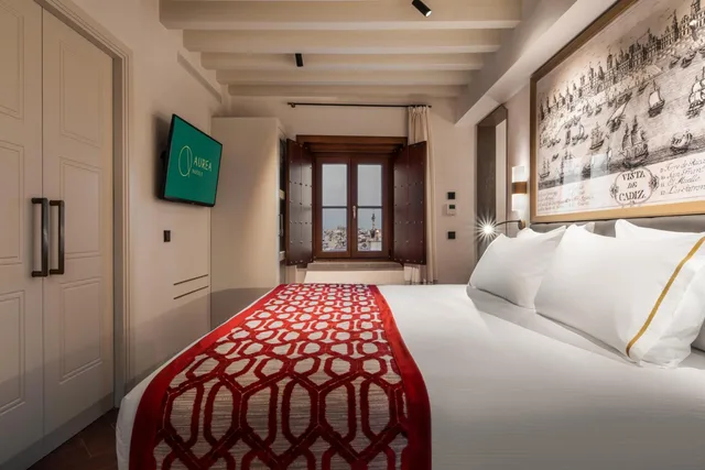 جناح جونيور بإطلالة، Aurea Casa Palacio Sagasta 3/8