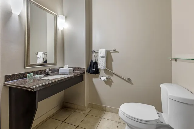 غرفة قياسية بسرير كينج لذوي الإعاقة، Best Western Estevan Inn & Suites 6/7