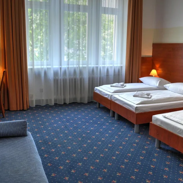 Family, Single Bed, Hotel Europa City 4/10