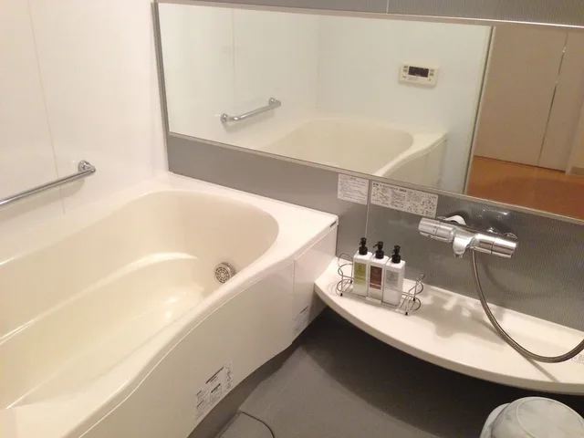 غرفة يابانية سوبيريور بفرشتي فوتون، Plaza Fuyo Hotel 6/10