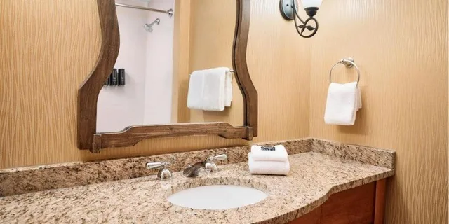 غرفة بسرير كينج لذوي الإعاقة، Oglebay Resort Conference Center 4/5