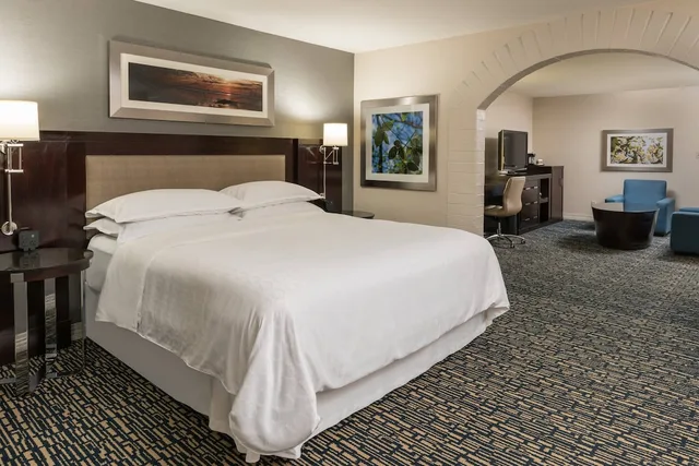 غرفة ديلوكس بسرير كينج مع أريكة لذوي الإعاقة، Sheraton Salt Lake City Hotel 3/9