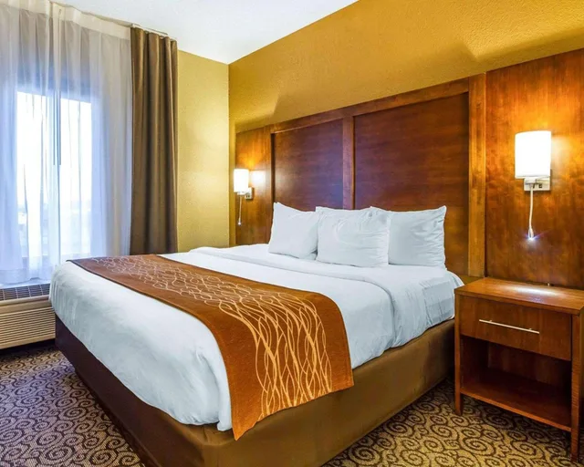جناح بسرير كينج مع أريكة، Comfort Suites Ramsey MN 1/6