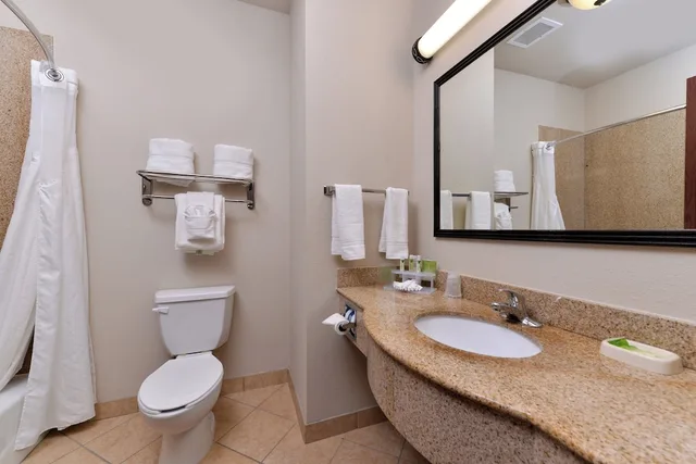 غرفة قياسية بسرير كينج، Holiday Inn Express Hotel Suites Sherman Hwy 75 4/4