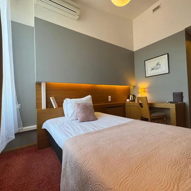 غرفة مفردة، Bern Boutique by Rikas Hotels 1/7