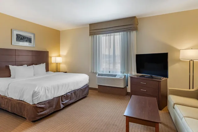 جناح بسرير كينج مع أريكة، MainStay Suites Near Denver Downtown 1/10