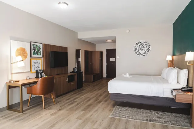 غرفة قياسية بسرير كينج بحوض استحمام لذوي الإعاقة، Holiday Inn Hou Energy Corridor Eldridge 1/2