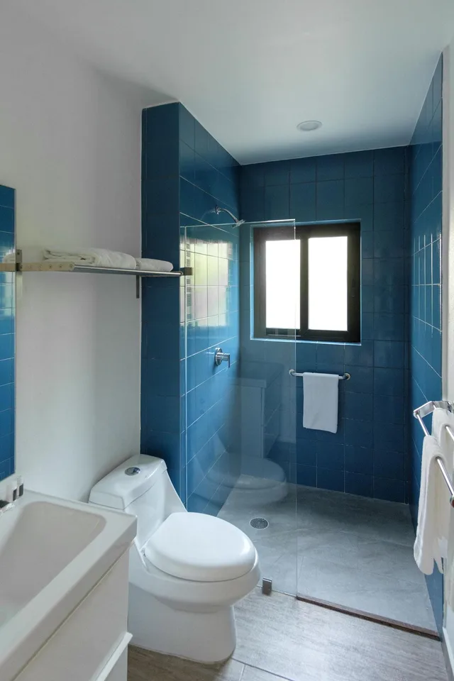 جناح فاخر، Hotel Boutique San Trópico 2/2