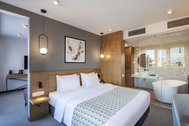 غرفة تنفيذية بسرير كينج، Clocks Hotel Tbilisi 1/5