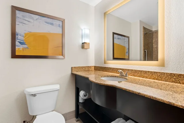 جناح مع أريكة، Comfort Suites Augusta Riverwatch 9/10