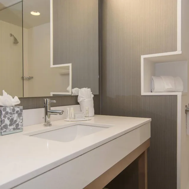 غرفة بسرير كينج مع أريكة بحوض استحمام لذوي الإعاقة، COURTYARD RALEIGH-DURHAM AIRPORT/BRIER CREEK 5/6