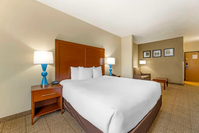 جناح بسرير كينج لذوي الإعاقة، Comfort Suites Near Vancouver Mall 2/5