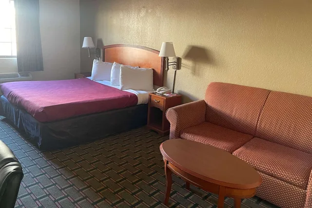 Standard, King Bed, Econo Lodge Kalamazoo MI 1/3