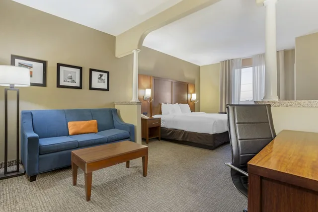 جناح بسرير كينج مع أريكة لذوي الإعاقة، Comfort Suites Houston NW - Vintage Park 3/7