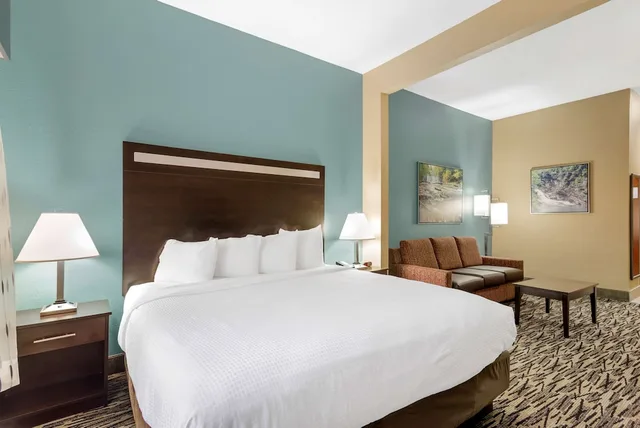 غرفة قياسية بسرير كينج، Best Western Plus McDonough Inn & Suites 2/4