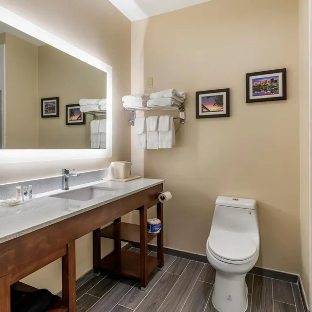 جناح بسرير كوين مع أريكة، Comfort Suites West Memphis 3/4