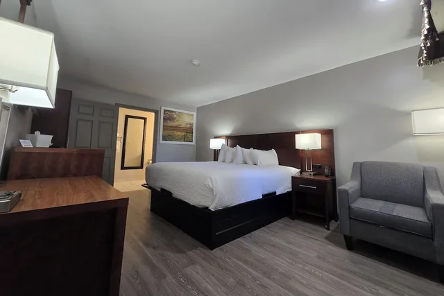 غرفة بسرير كينج لذوي الإعاقة لغير المدخنين، OYO Hampton South Carolina Hwy 278 8/10
