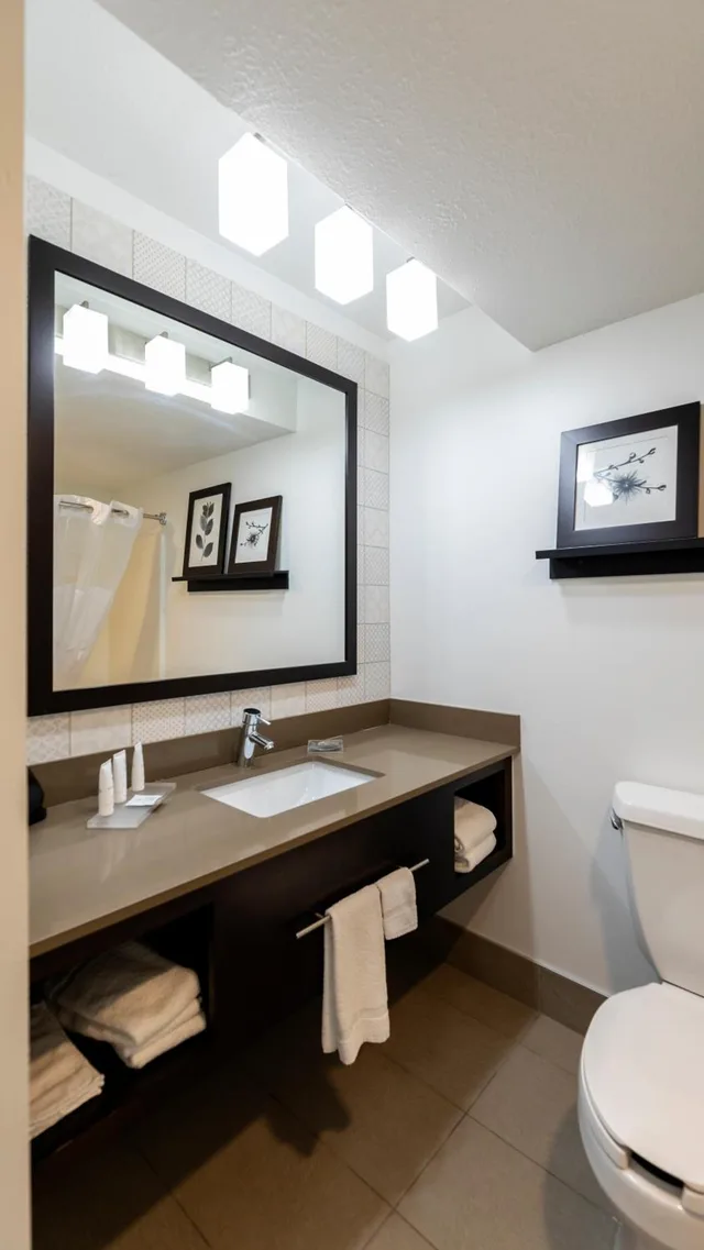 جناح بسرير كينج مع أريكة بحوض جاكوزي لذوي الإعاقة، Country Inn & Suites by Radisson, Appleton Airport - Fox River Mall Area 4/5