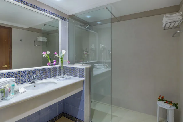 غرفة بريميوم بإطلالة على البحر بشرفة مفردة بسريرين منفصلين، Hipotels Natura Palace - Adults Only 4/4
