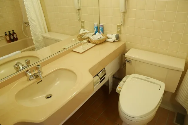 غرفة ديلوكس مفردة للمدخنين، Rembrandt Hotel Atsugi 5/11