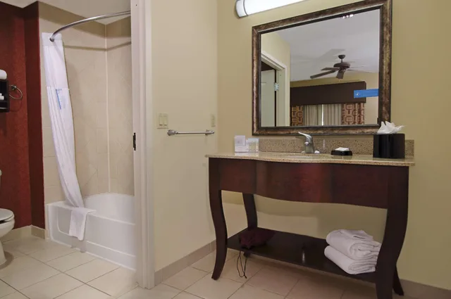 جناح بسرير كينج مع أريكة، Hampton Inn Suites Conroe I 45 North 3/3