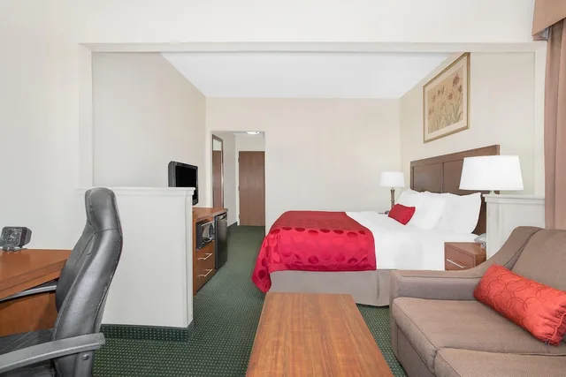 1 Bedroom, Suite, King Bed, Ramada By Wyndham Denver International Airport 4/8