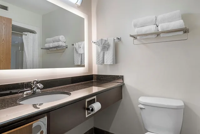 جناح بسرير كينج بمطبخ، Best Western Plus Dartmouth Hotel Suites 2/2