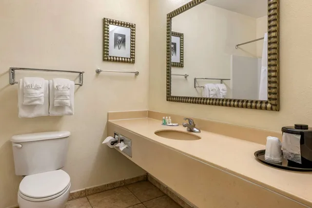 جناح بسريرين مزدوجين، Quality Inn Zephyrhills-Dade City 2/2