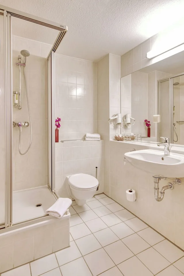 Vita, Comfort, Double Bed، Aktiv & Vital Hotel Thuringen 3/3