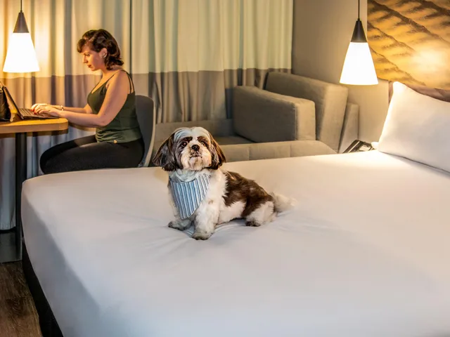 غرفة بسرير مزدوج، Ibis Sao Paulo Tatuape 6/8