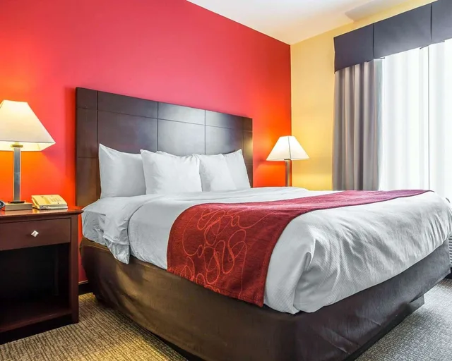Suite, King Bed, Comfort Suites Rock Hill Manchester Meadows Area 1/3