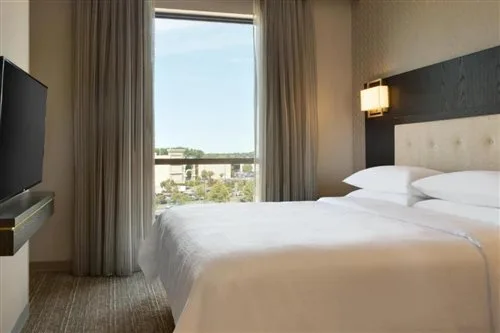 جناح لذوي الإعاقة، Embassy Suites by Hilton Syracuse Destiny USA 1/2