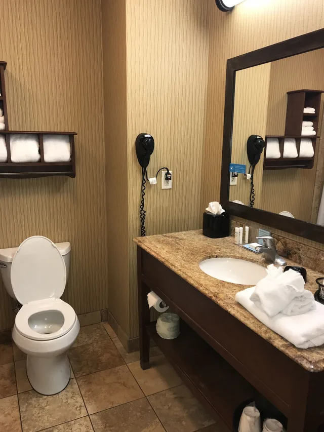 غرفة بسرير كينج مع أريكة لذوي الإعاقة، Hampton Inn Suites Mcallen 8/10