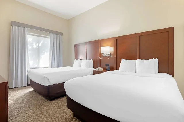جناح مع أريكة، Comfort Suites West Dallas Cockrell Hill 1/4