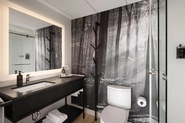 Loft, Suite، Peaks Hotel & Suites 5/7