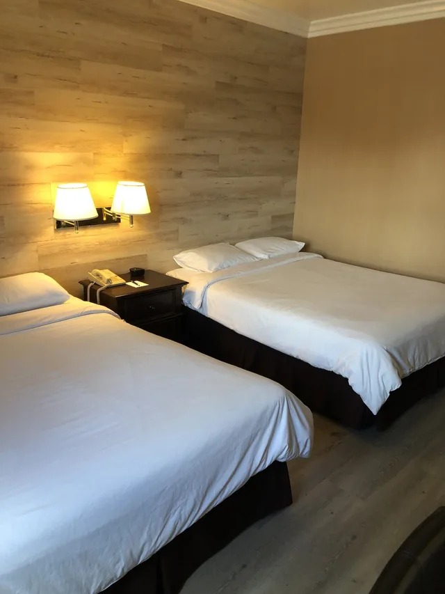غرفة ديلوكس بسريرين كوين، Garden Suite Hotel 6/7