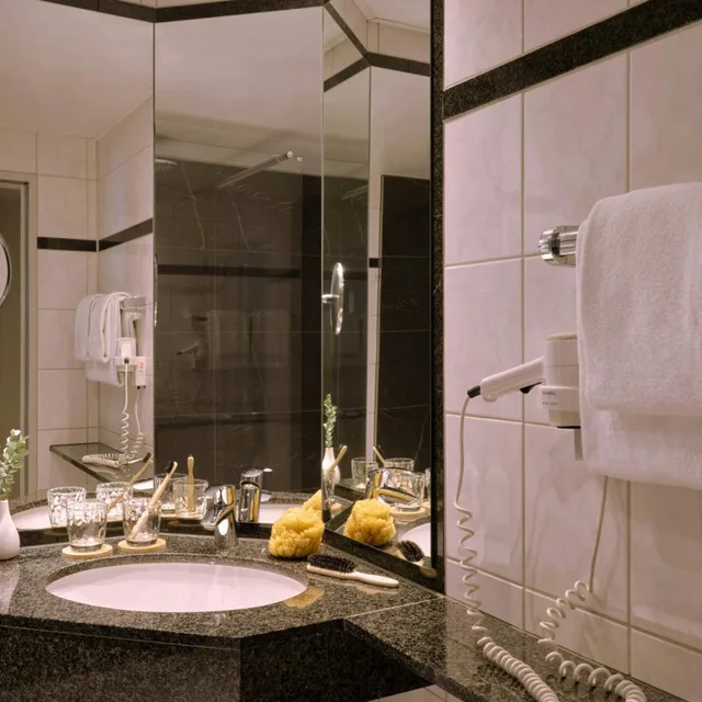 غرفة سوبيريور ثلاثية، Leonardo Royal Hotel Baden Baden 8/9
