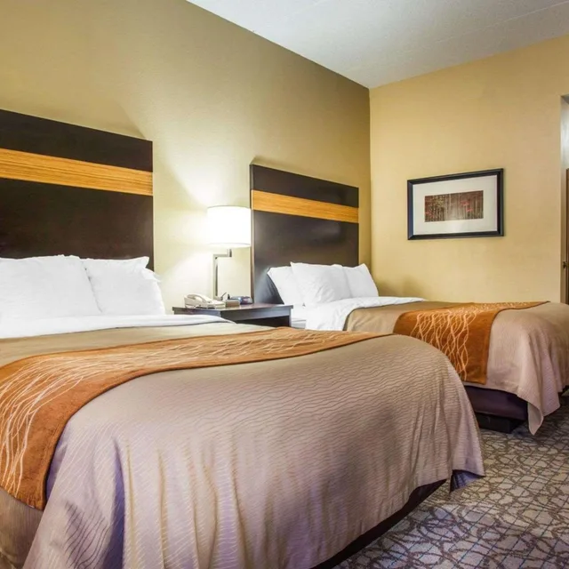 Suite, Queen Bed, Comfort Inn Suites At Stone Mountain 1/6